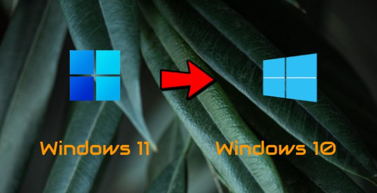 Как вернуться к Windows 10 с Windows 11