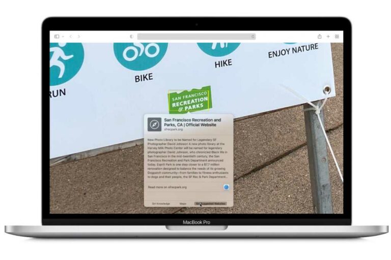 macOS Monterey: как использовать Live Text и Visual Look Up