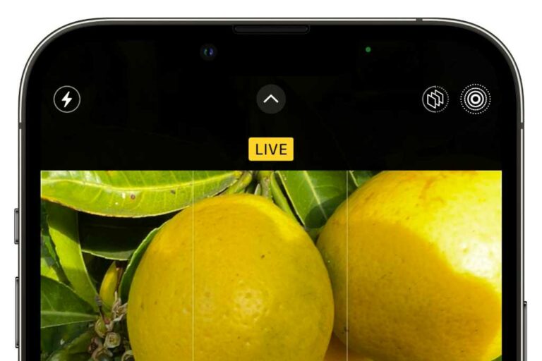 Как отключить Live Photos на вашем iPhone или iPad