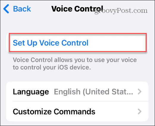 Разблокируйте свой iPhone своим голосом