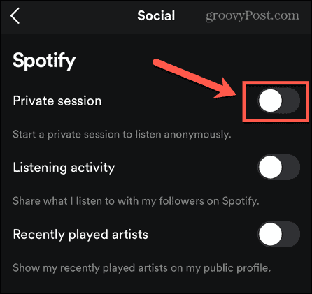 мобильная приватная сессия Spotify