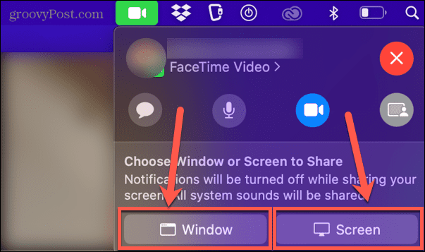 окно FaceTime или демонстрация экрана